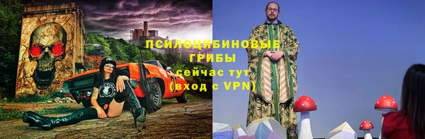 индика Дмитров